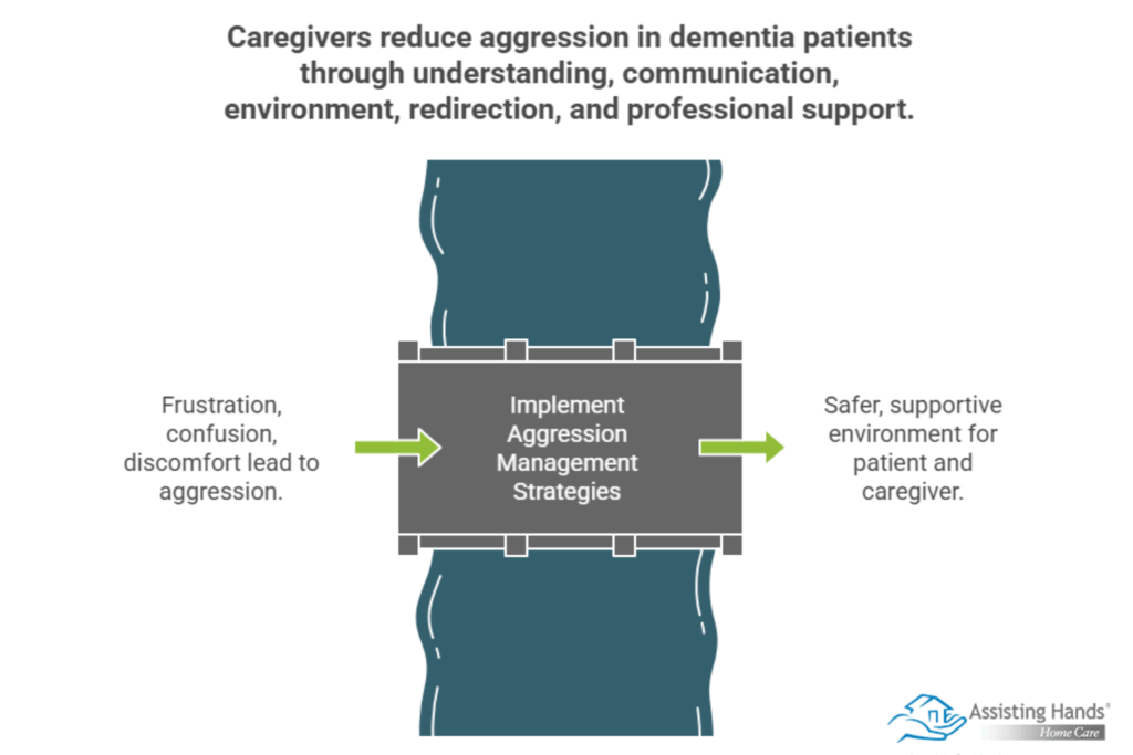 How to Handle Aggression in Seniors with Dementia